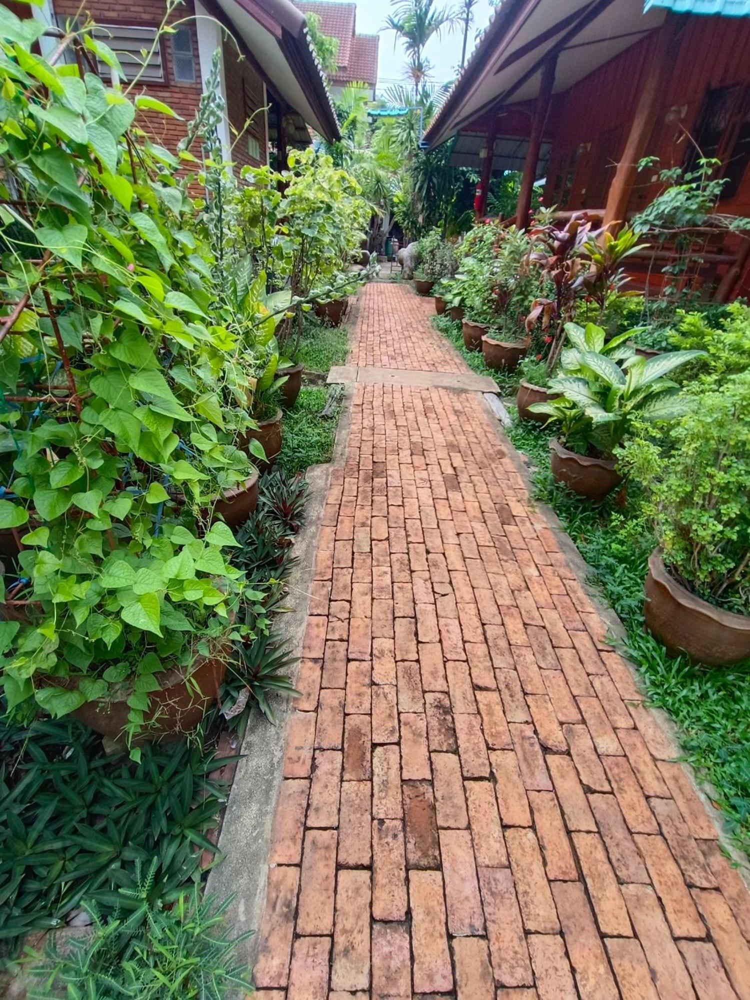 Mg Guesthouse Sukhothai Ngoại thất bức ảnh